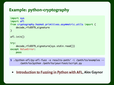 Python code for fuzzing the python-cryptography library with AFL.