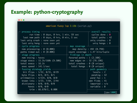 Terminal output showing an AFL fuzzing session against python-cryptography.