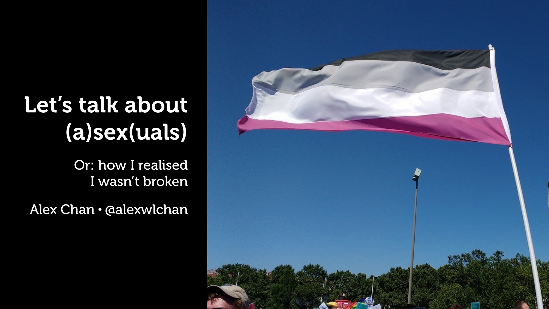A slide titled “Let's talk about (a)sex(uals)” with an asexual pride flag.