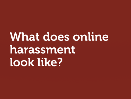 White text on red: “What does online harassment look like?”