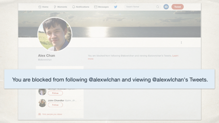 A screenshot of my Twitter bio, with the text “You are blocked from following @alexwlchan and viewing @alexwlchan’s Tweets” highlighted.