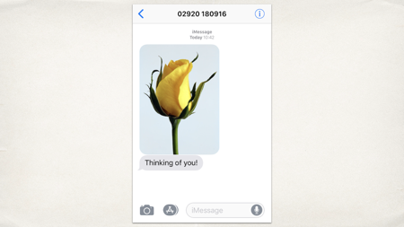 A screenshot of a messaging app with a picture of a yellow flower and a message “Thinking of you!”.