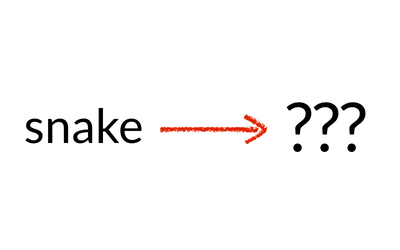 The word 'snake' and an arrow pointing from 'snake' to three question marks.