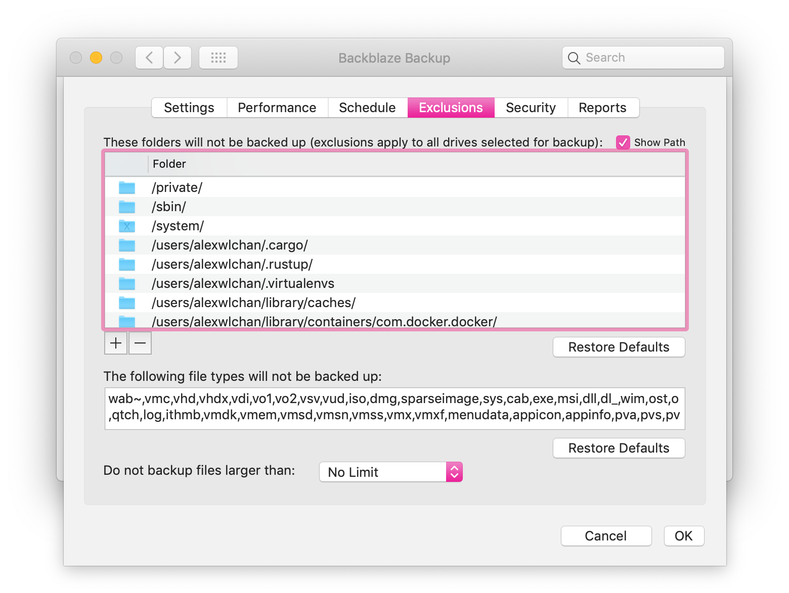 A settings panel. There's a tab bar at the top, with the item “exclusions” highlighted in pink. Within the panel, there's a list of folders titled “These folders will not be backed up”