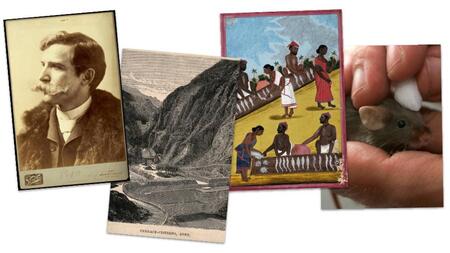 Four images, L-R: a sepia-toned photo of a man with a large moustache; coloured illustrations of various mountains; people gathering at a fish market; a small black rodent on a paper background.