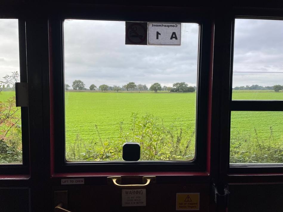 Looking out through a train carriage window at passing fields. It’s a field of mostly grass, with some trees along the edge in the distance, and various bushes and foliage appearing at the bottom of the window. There are also warning and safety stickers around the window, but they’re too dark to be easily legible.