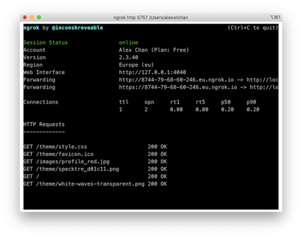 Screenshot of my terminal running ngrok. It shows some information about my account, an eu.ngrok.io URL where I can access my web server, and a list of HTTP requests it's received.