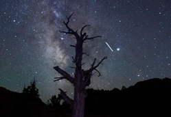 A starry night sky, with a tree in silhouette in the foreground. In the background is a bright white streak, next to a bright white dot that stands out from the other stars.