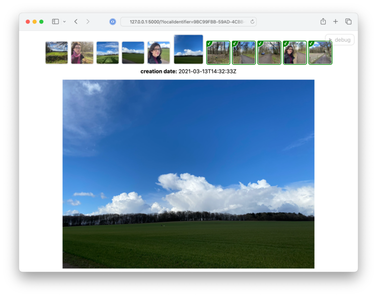 A similar layout to the previous app (full-sized image at the bottom, a horizontal list of thumbnails at the top), with a different set of images -- this time a grassy field on a sunny day. This app is running in a web browser, and the icons/colours are slightly different – various bits of border and spacing are slightly inconsistent, and it's not quite as polished.
