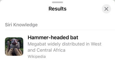 A list of results for 'Look up Mammal', showing two suggestions: a Hammer-headed bat, and a Wolf.
