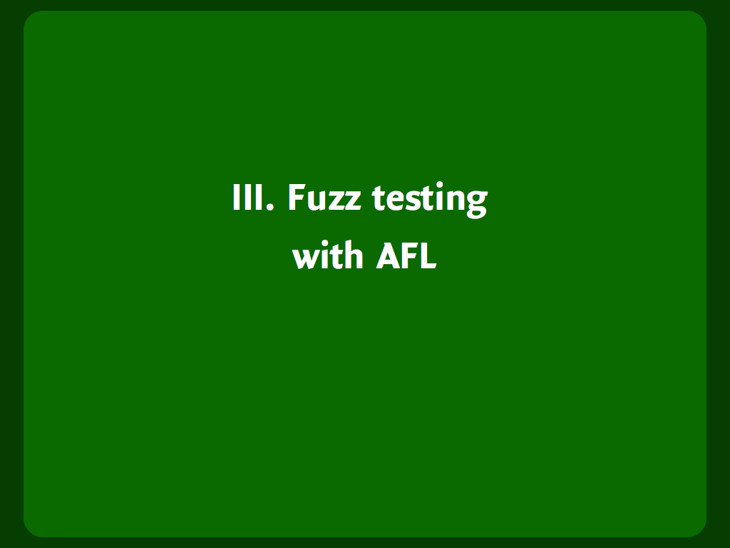 Header slide: “Fuzz testing with AFL”.