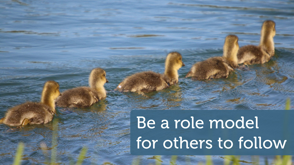 Five ducks in a row, with the overlaid text “Be a role model for others to follow”.